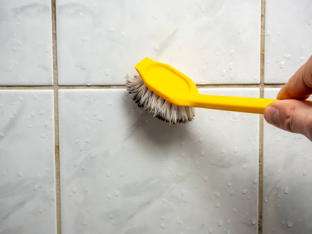 Best Kitchen Mold Remediation in Princeton, WV